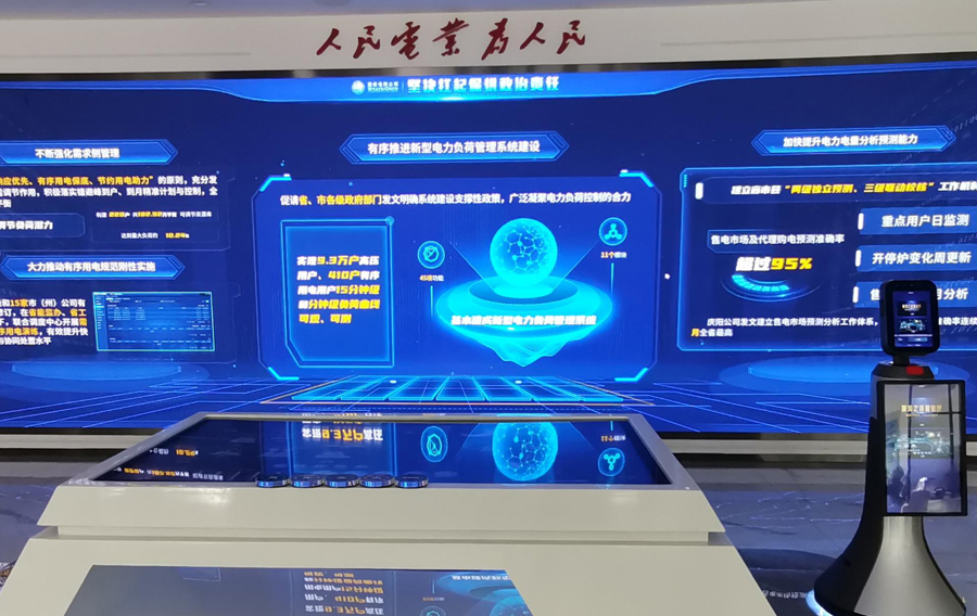 甘肅國家電網(wǎng)營(yíng)業(yè)廳案例